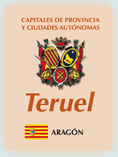 Imagen con la bandera la comunidad autónoma, y con el escudo la ciudad de Teruel